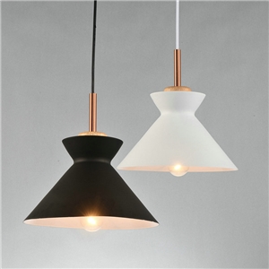 Nordic Simple Pendant Light Creative Dining Room Study Room Bedroom light Single Light Black and White