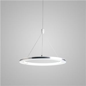 Modern LED Ceiling Lights Silver White Circle Pendant Light Bedroom Living Room Kitchen Lighting