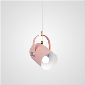Contemporary Simple Spotlight Angle Adjustable Aluminum Spotlight Stoving Varnish Light