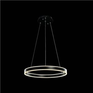 Nordic Modern LED Light Black Round Restaurant Bar Simple Creative Pendant Light Single Light