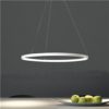 Modern LED Pendant Light LED Circle Ceiling Light 40W Energy Saving