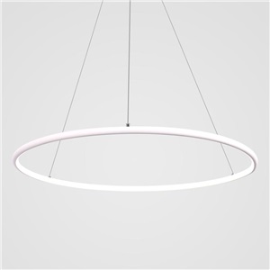 Contemporary Simple Ring Pendant Light Decorative Circle Pendant Light Living Room Bedroom Study Lighting