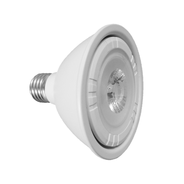 LED PAR30-COB