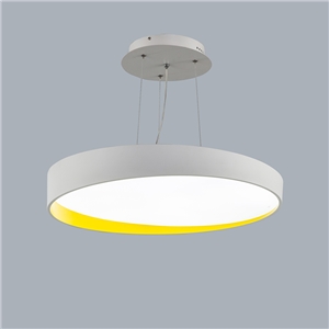 Modern Simple Metal + Plastic + Acrylic Baking Paint LED Ceiling Light (White + Warm White) Without Remote Control Energy Saving