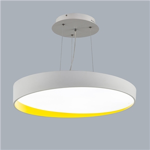 Modern Simple Metal + Plastic + Acrylic Baking Paint LED Ceiling Light (White + Warm White) Without Remote Control Energy Saving