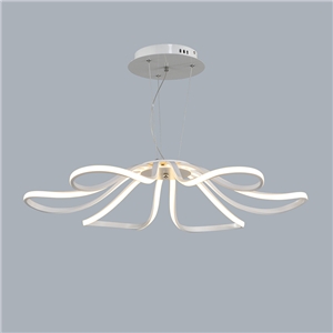 Modern Simple Metal + Plastic Baking Paint White / Warm White Light LED Ceiling Light Energy Saving