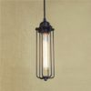 Industrial One Light Mini Hanging Pendant in Pewter Finish